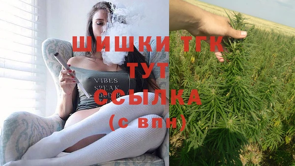 шишки Вязники