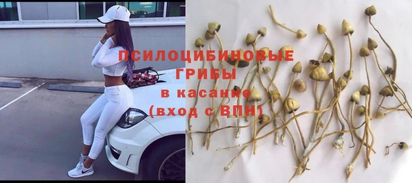 марихуана Ессентукская