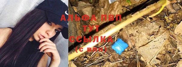 2c-b Медвежьегорск
