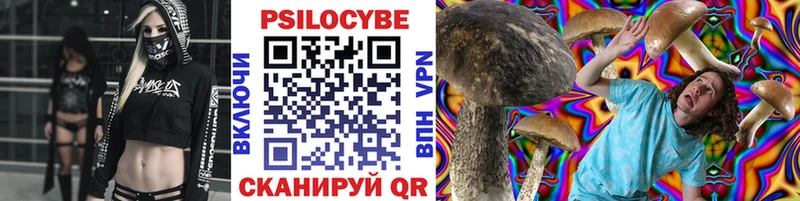 Псилоцибиновые грибы GOLDEN TEACHER  Болотное 