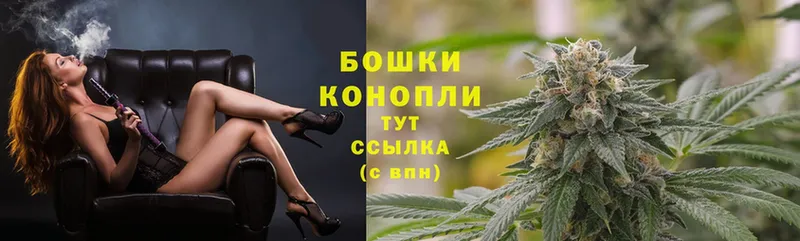 где можно купить наркотик  Болотное  Каннабис White Widow 